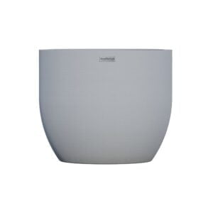 Вазон Амеліа