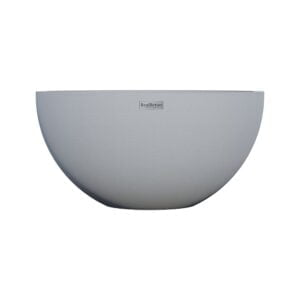 Вазон Діона