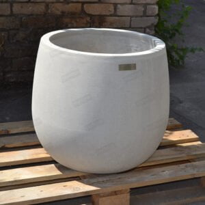 Вазон Сомелія