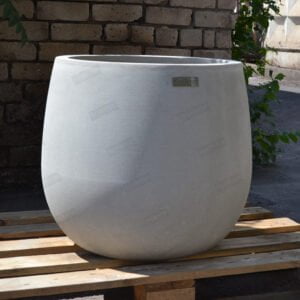 Вазон Сомелія