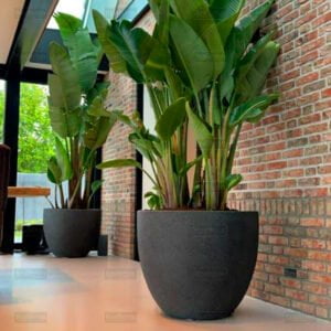 Вазон из бетона Селина