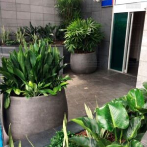 Вазон з бетону Сомелія